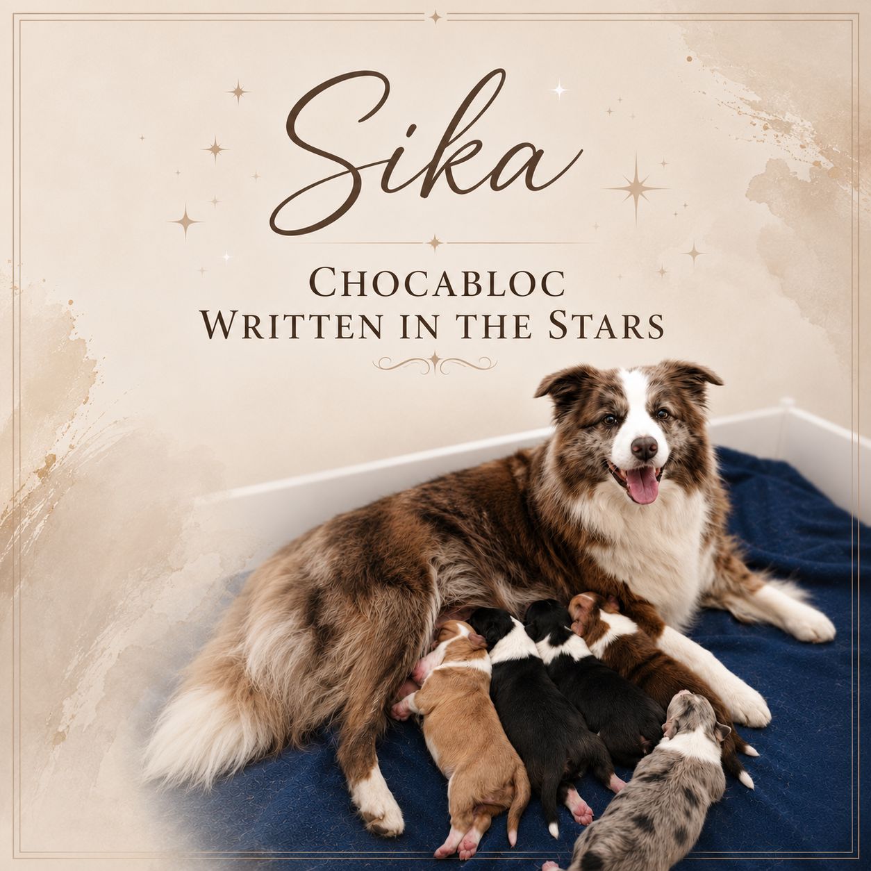 Sika